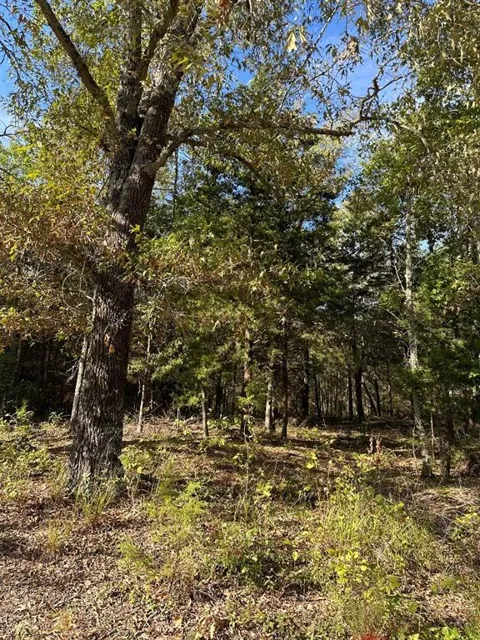 234 Private Road 34615