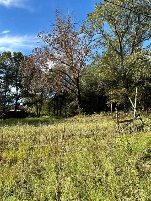 234 Private Road 34615 Sumner, TX 75486