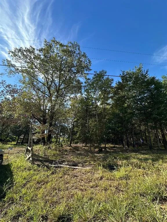 234 Private Road 34615 Sumner, TX 75486