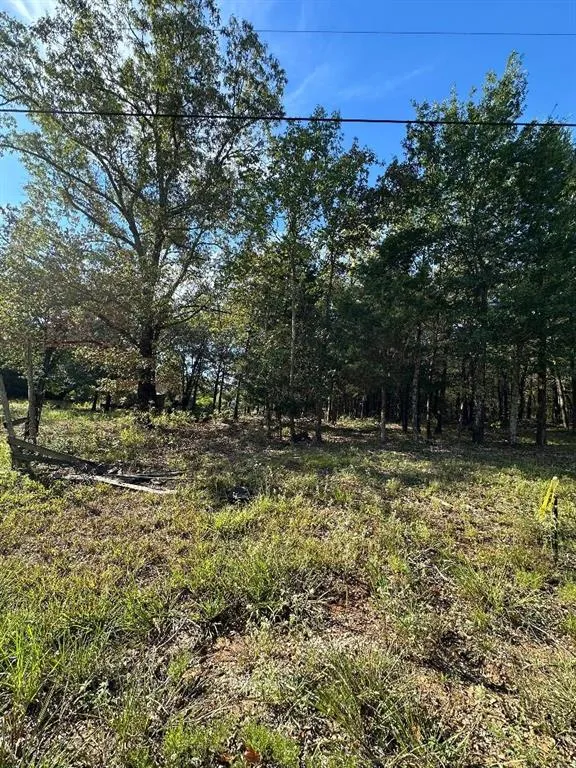 234 Private Road 34615 Sumner, TX 75486