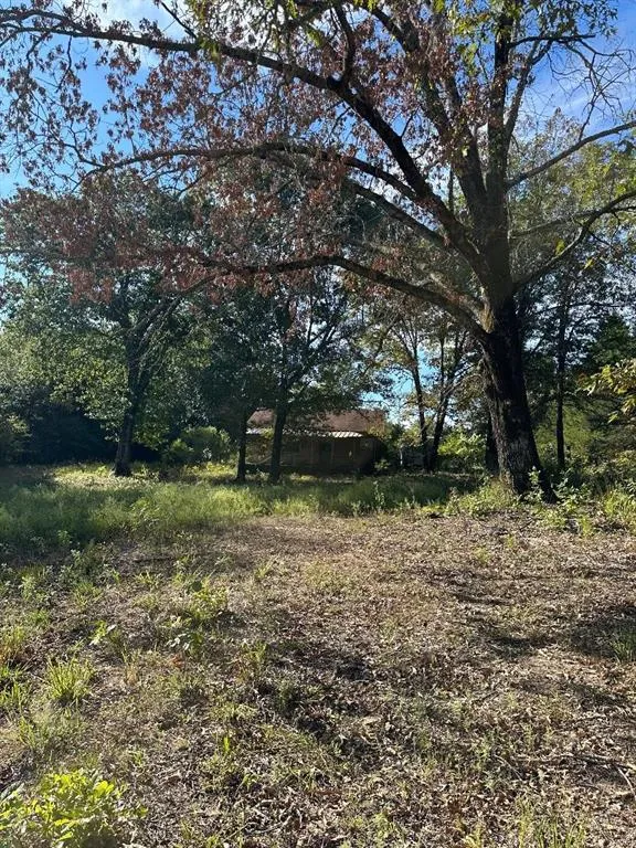 234 Private Road 34615 Sumner, TX 75486
