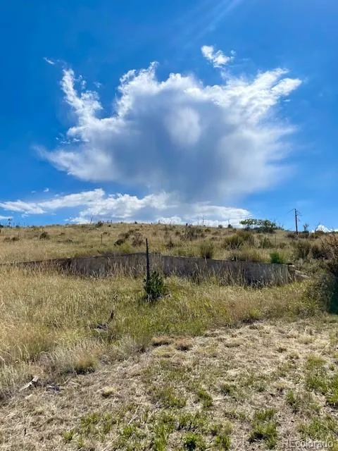 1971 County Road 27a
