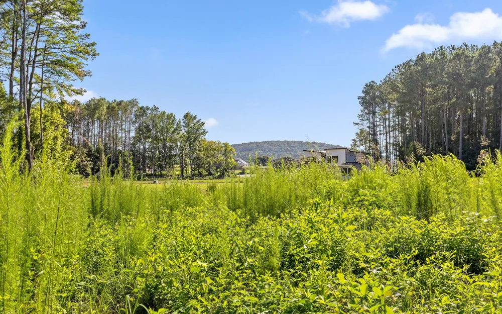 67 Clubhouse Drive Jasper, TN 37347