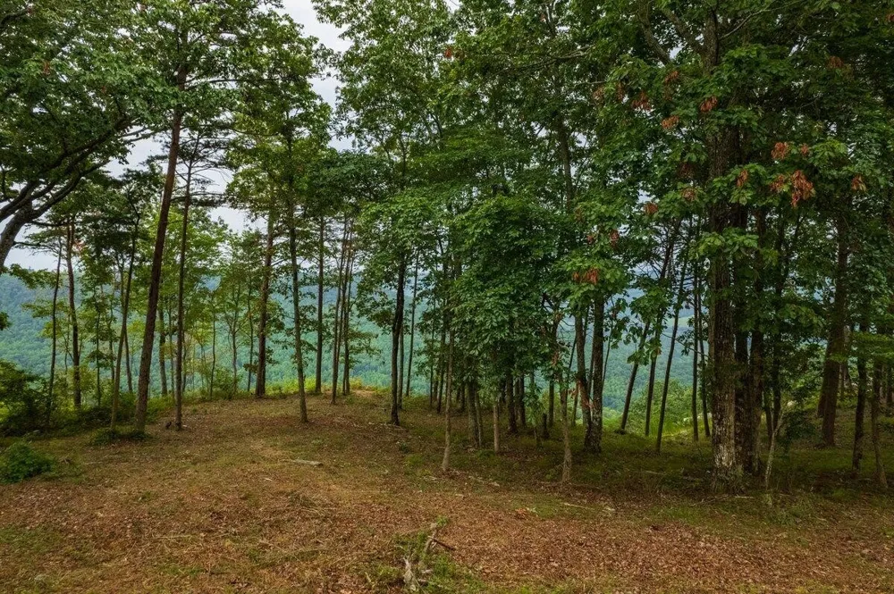 0 Crockett Point Jasper, TN 37347