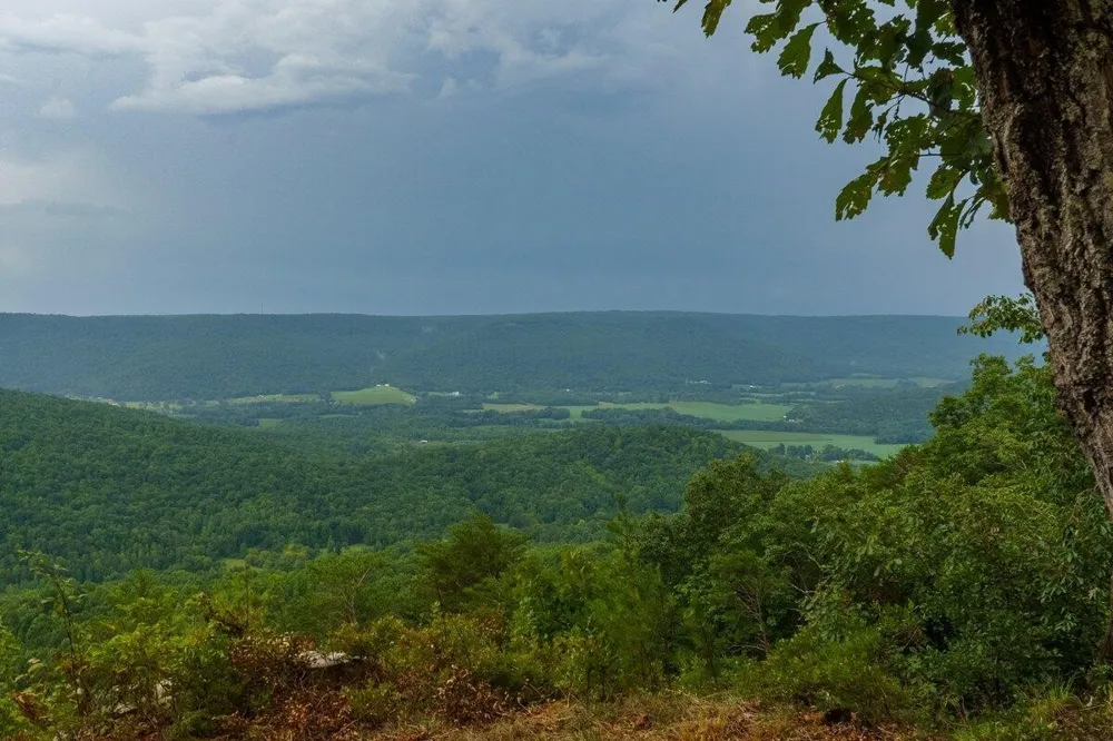 0 Crockett Point Jasper, TN 37347