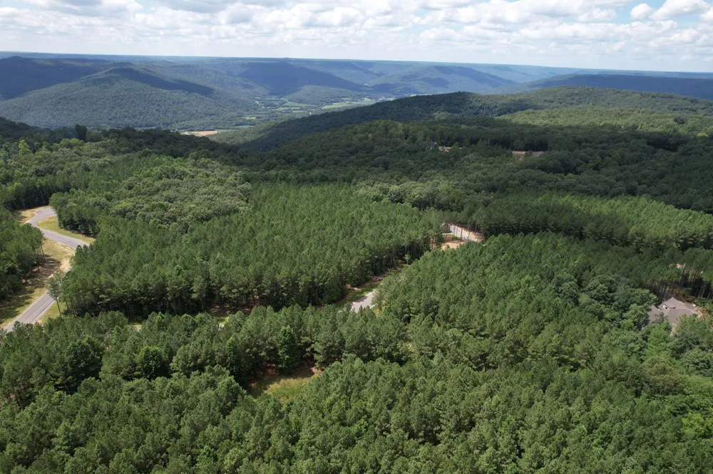 0 Crockett Point Jasper, TN 37347