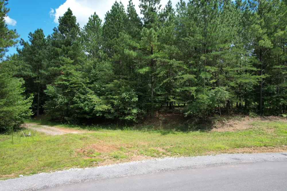 0 Crockett Point Jasper, TN 37347