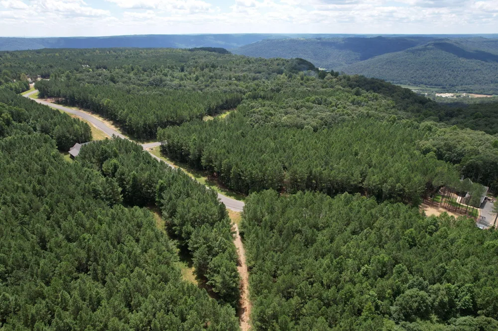 0 Crockett Point Jasper, TN 37347