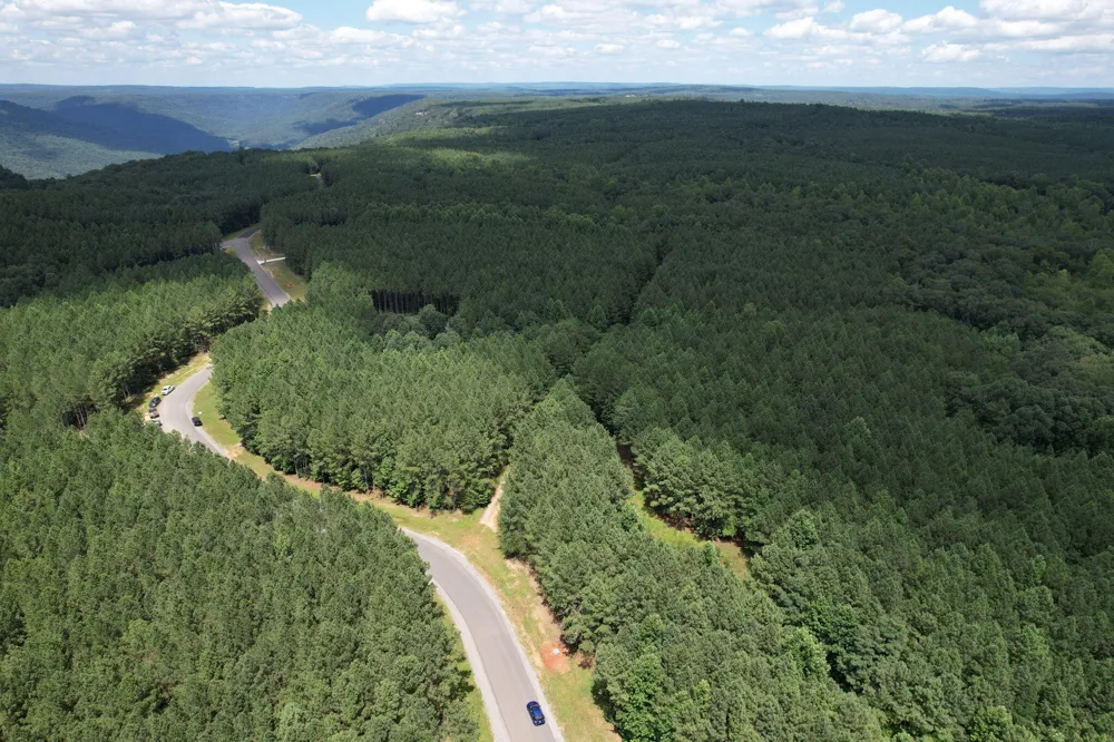 0 Crockett Point Jasper, TN 37347