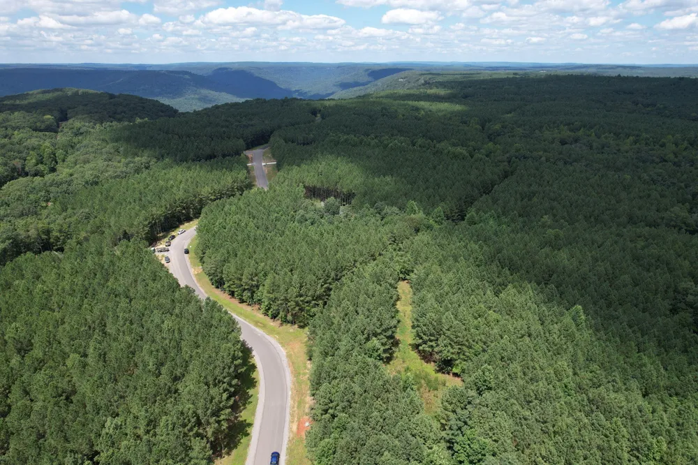 0 Crockett Point Jasper, TN 37347
