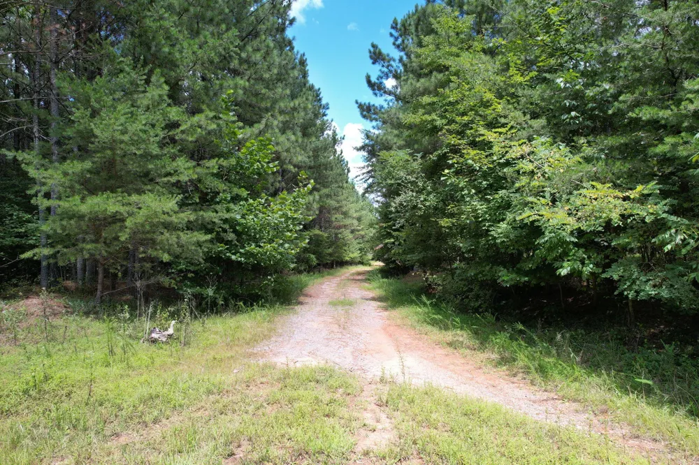 0 Crockett Point Jasper, TN 37347