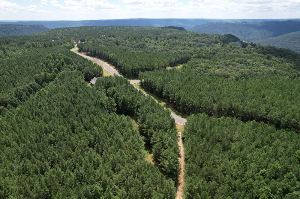 0 Crockett Point Jasper, TN 37347