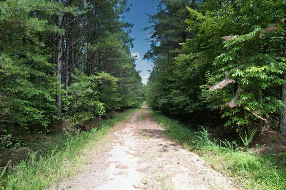 0 Crockett Point Jasper, TN 37347