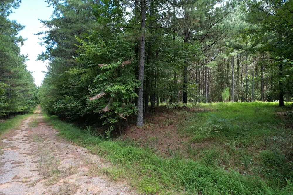 0 Crockett Point Jasper, TN 37347
