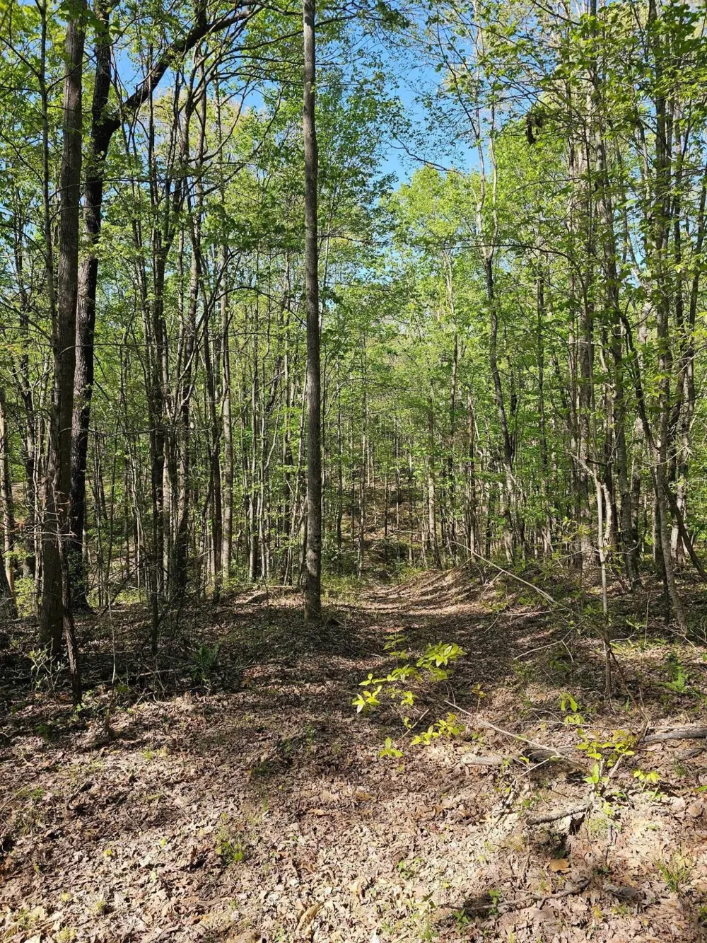 0 Waterwheel Way Jasper, TN 37347