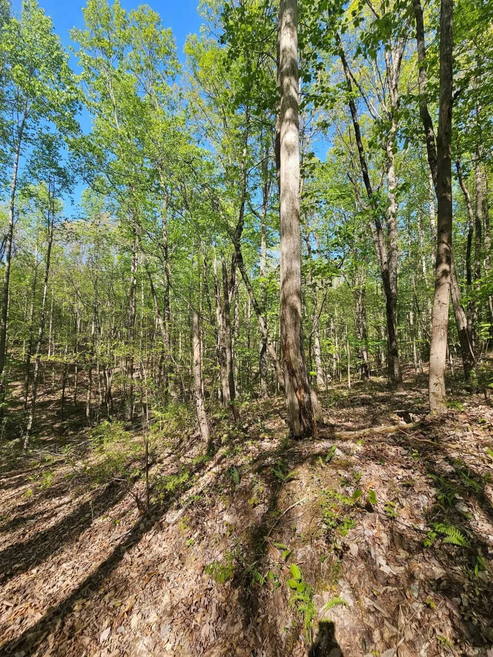 0 Waterwheel Way Jasper, TN 37347