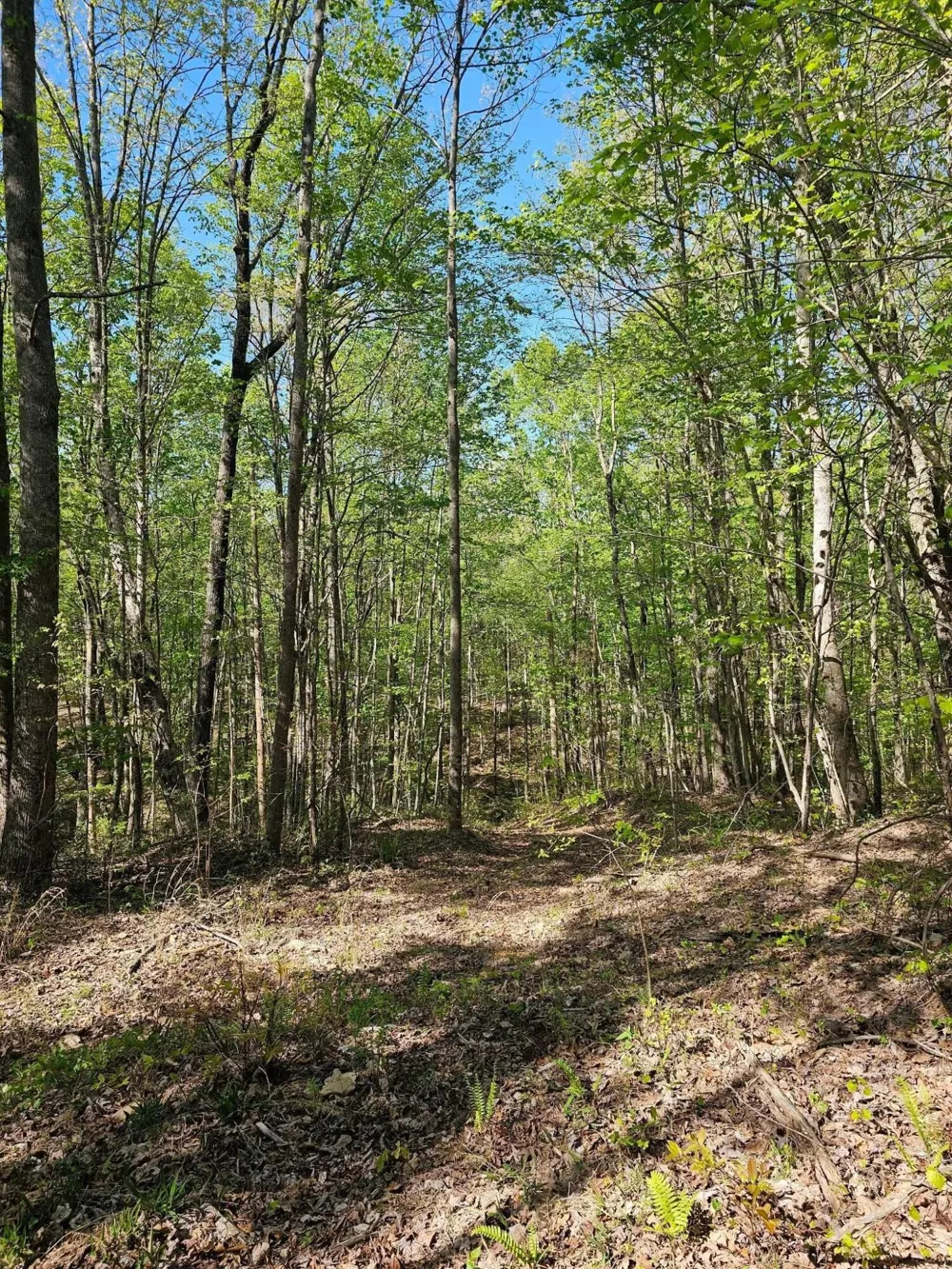 0 Waterwheel Way Jasper, TN 37347
