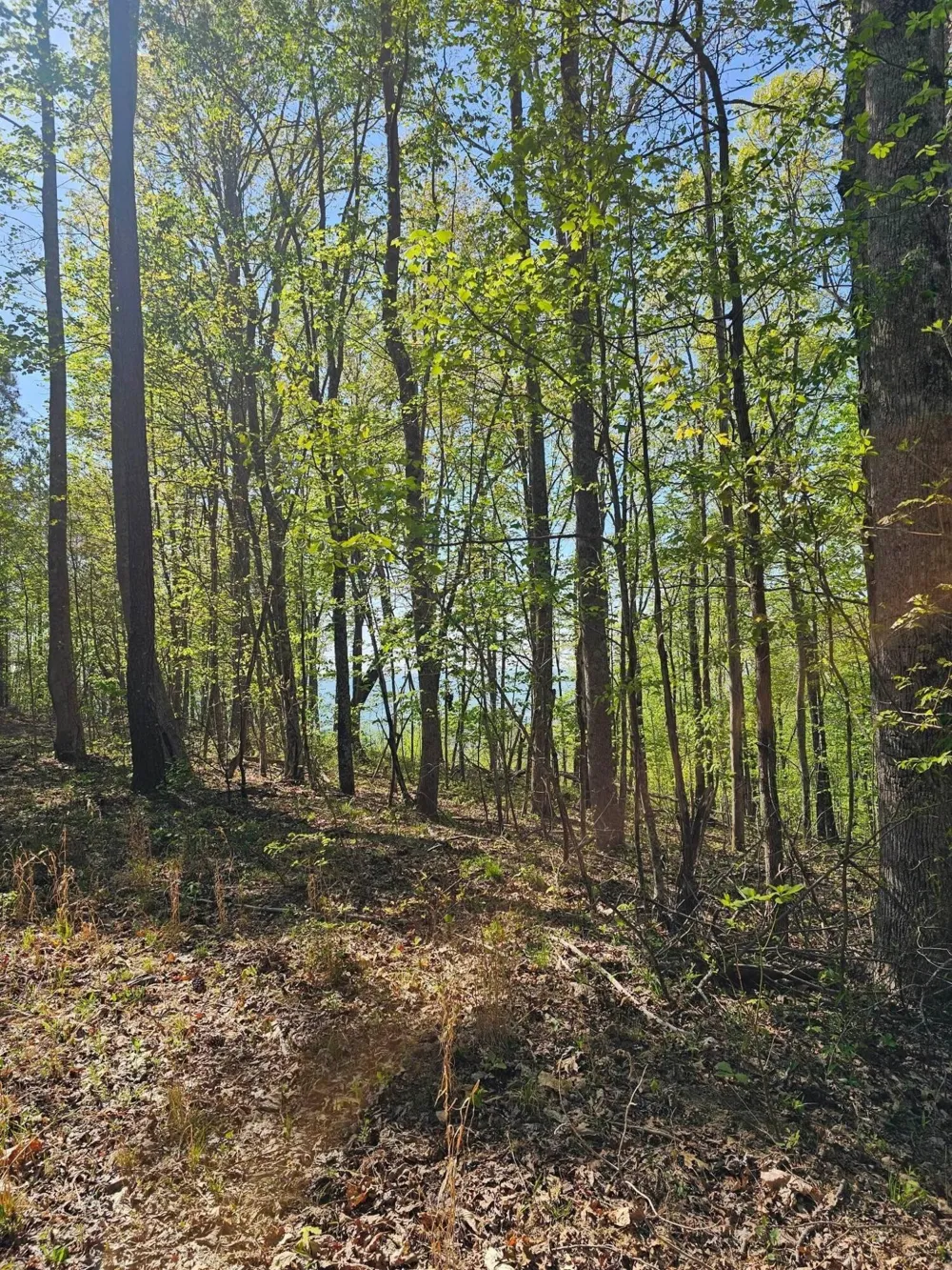 0 Waterwheel Way Jasper, TN 37347