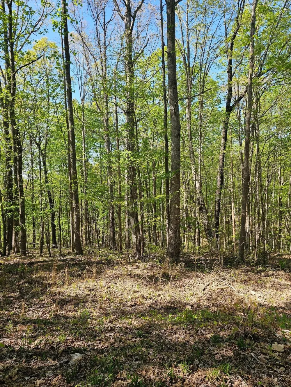 0 Waterwheel Way Jasper, TN 37347