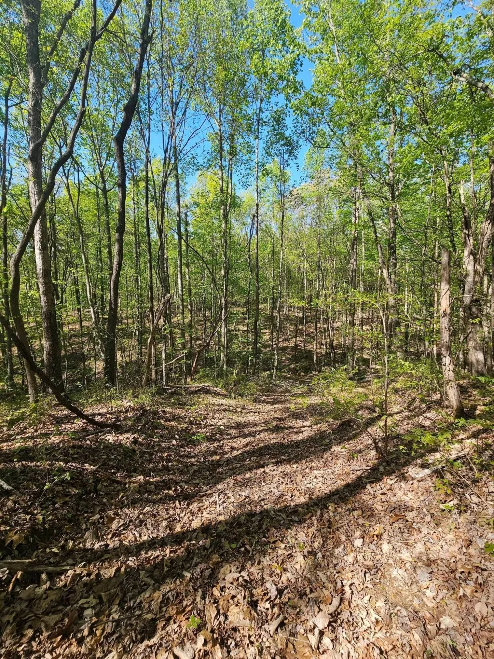 0 Waterwheel Way Jasper, TN 37347