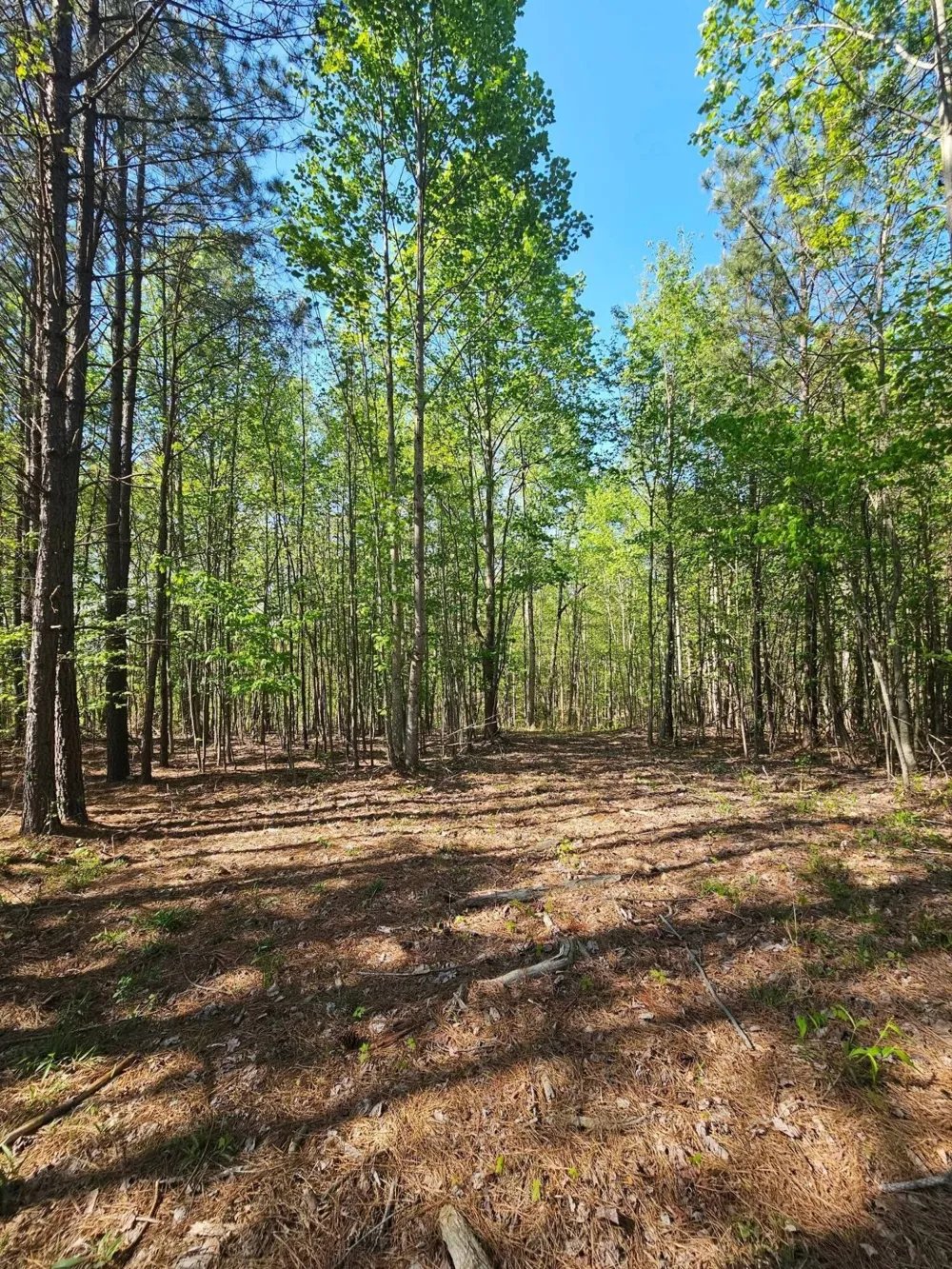0 Waterwheel Way Jasper, TN 37347