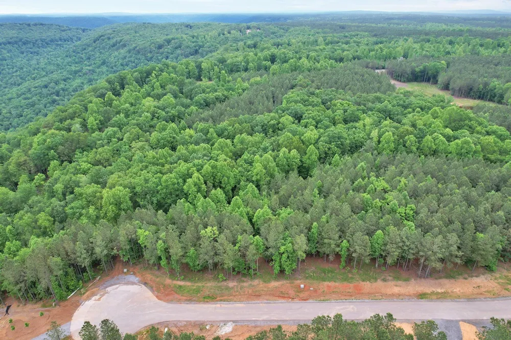 0 Waterwheel Way Jasper, TN 37347