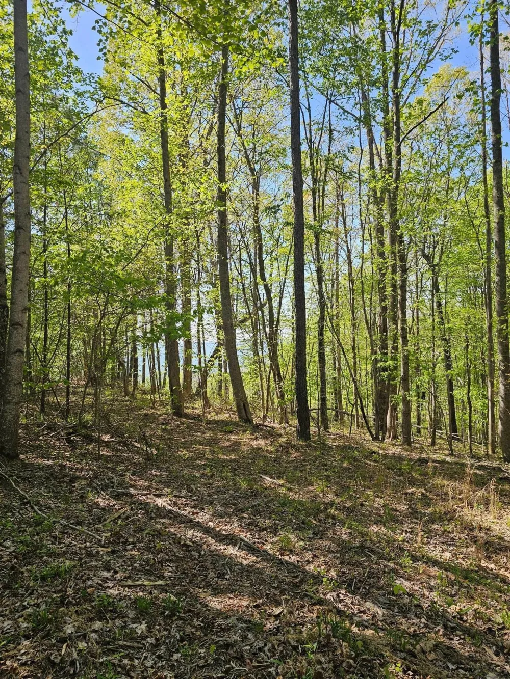 0 Waterwheel Way Jasper, TN 37347