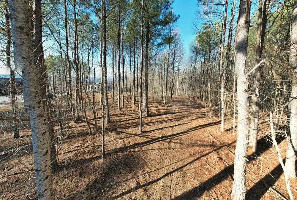 0 Waterwheel Way Jasper, TN 37347