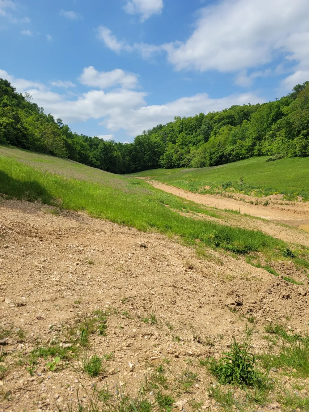 0 Rivendell Beechgrove, TN 37018