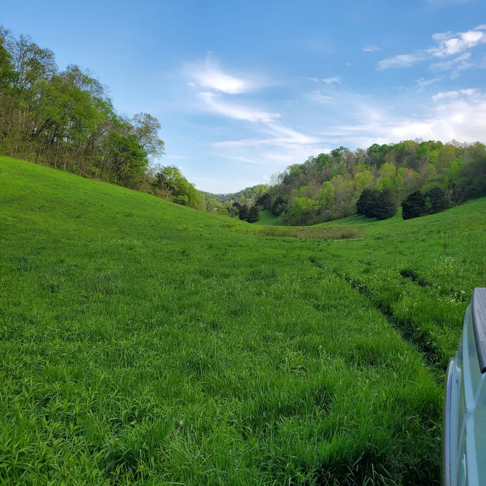 0 Rivendell Beechgrove, TN 37018