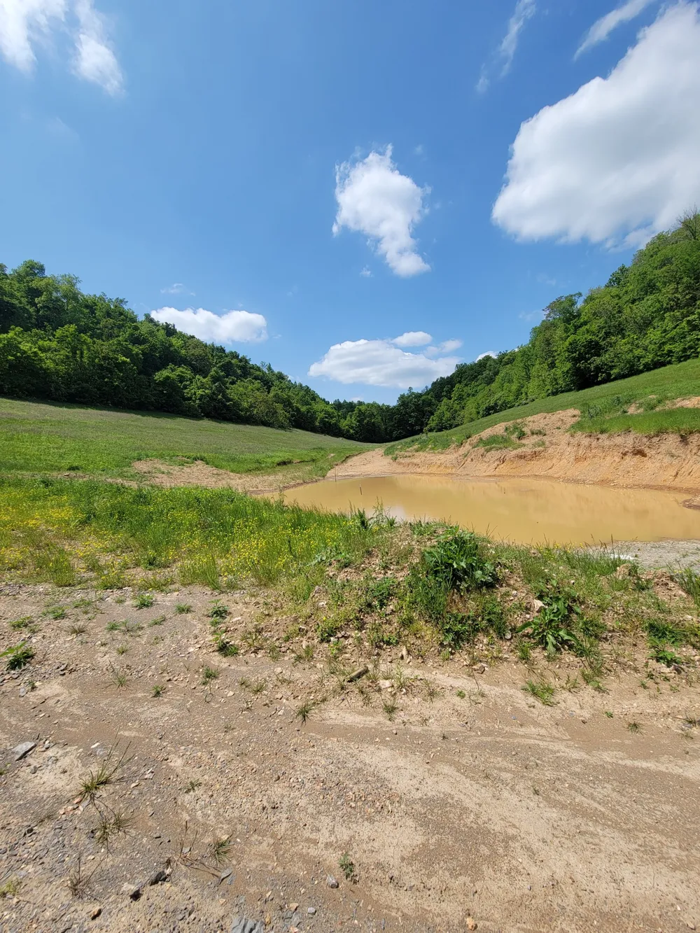 0 Rivendell Beechgrove, TN 37018