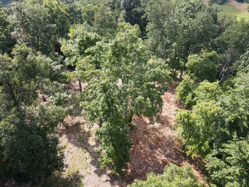 0 Rivendell Beechgrove, TN 37018