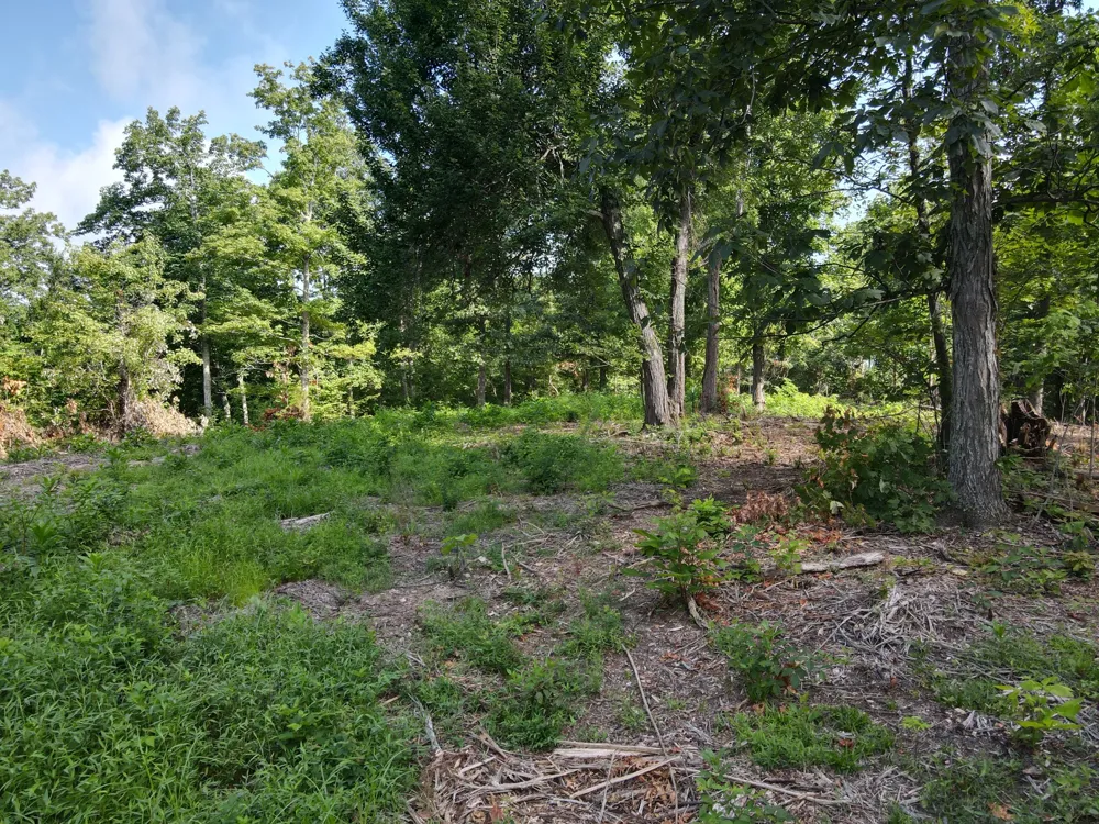 0 Rivendell Beechgrove, TN 37018