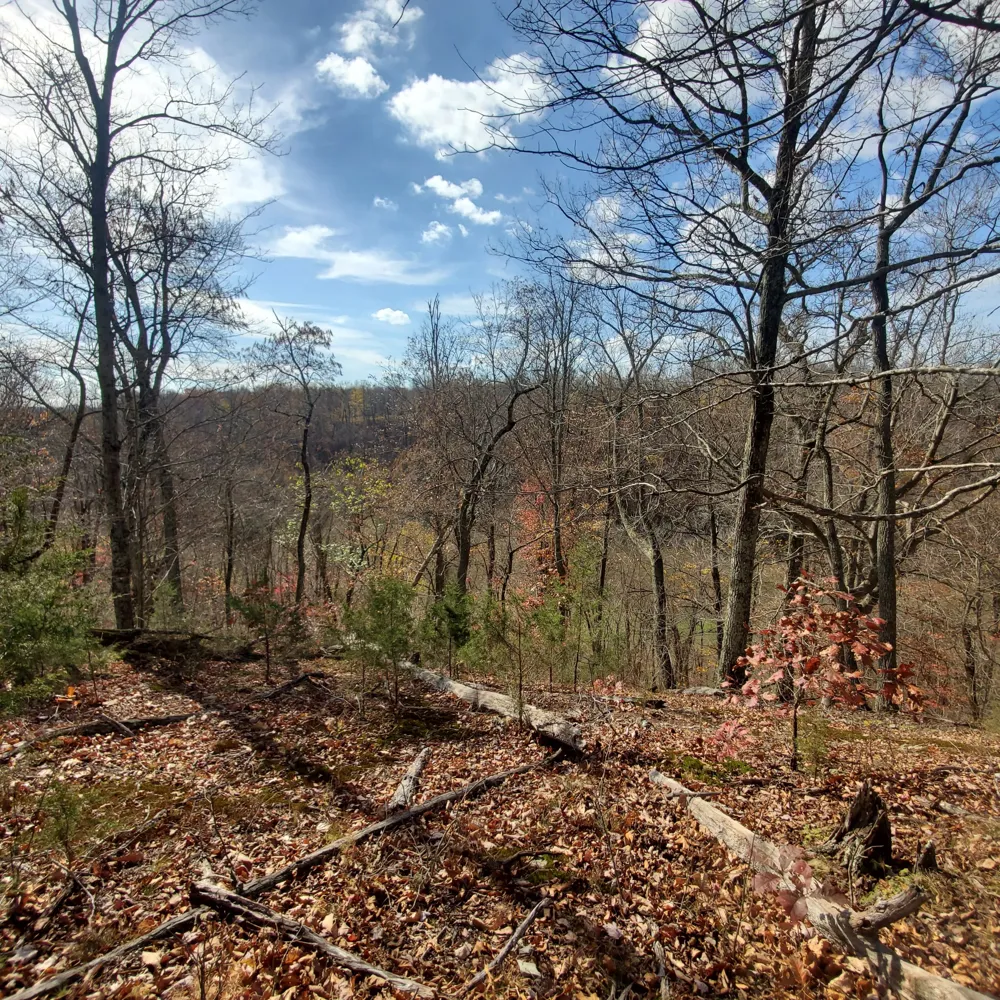 0 Rivendell Beechgrove, TN 37018