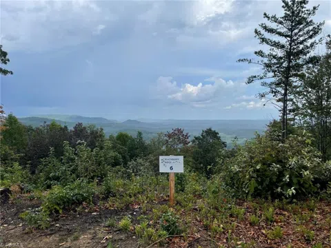 Tract 6 Blackberry Ridge Cabin Creek Road