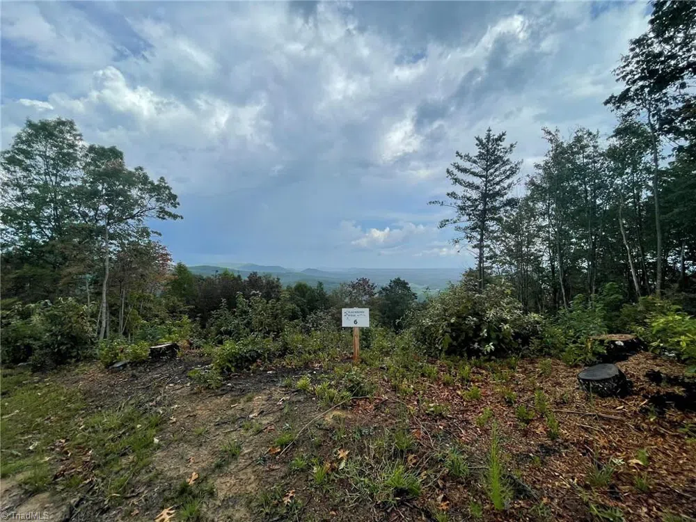 Tract 6 Blackberry Ridge Cabin Creek Road Hays, NC 28635