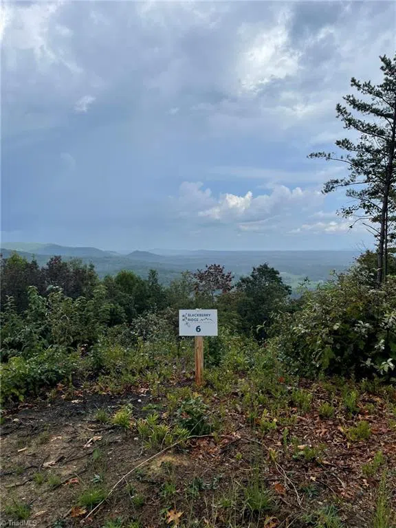 Tract 6 Blackberry Ridge Cabin Creek Road Hays, NC 28635