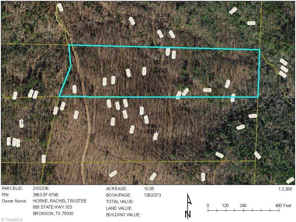 Tract 6 Blackberry Ridge Cabin Creek Road Hays, NC 28635