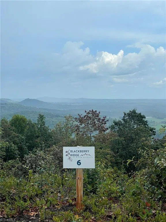 Tract 6 Blackberry Ridge Cabin Creek Road Hays, NC 28635