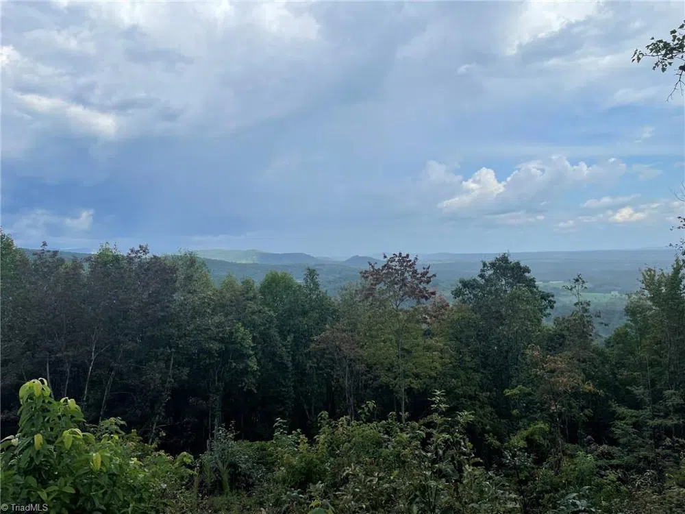Tract 6 Blackberry Ridge Cabin Creek Road Hays, NC 28635