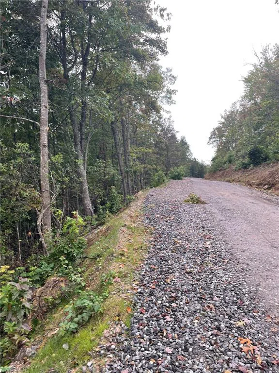 Tract 6 Blackberry Ridge Cabin Creek Road Hays, NC 28635