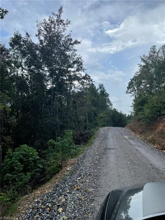 Tract 6 Blackberry Ridge Cabin Creek Road Hays, NC 28635