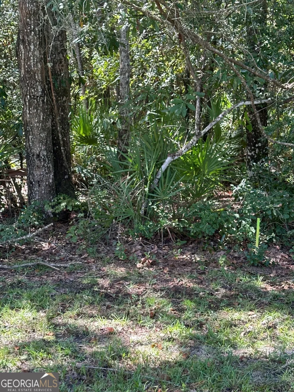 LOT 13 Sunset DR Woodbine, GA 31569