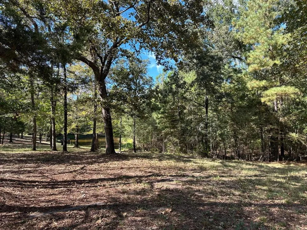 11420 County Road 420 Tyler, TX 75704