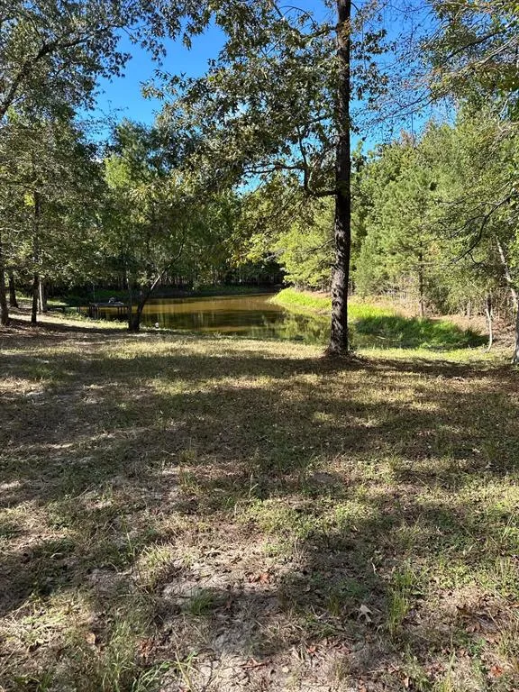 11420 County Road 420 Tyler, TX 75704