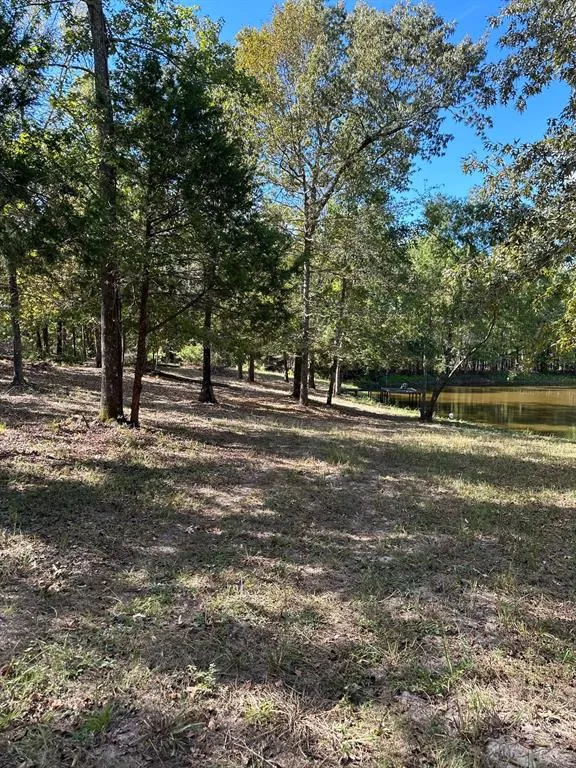 11420 County Road 420 Tyler, TX 75704