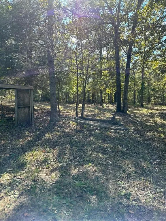 11420 County Road 420 Tyler, TX 75704