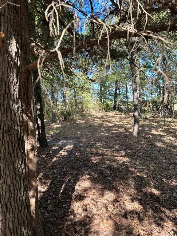 11420 County Road 420 Tyler, TX 75704