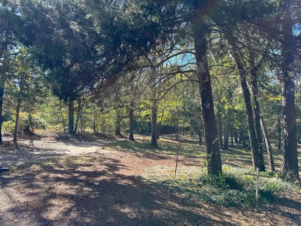 11420 County Road 420 Tyler, TX 75704