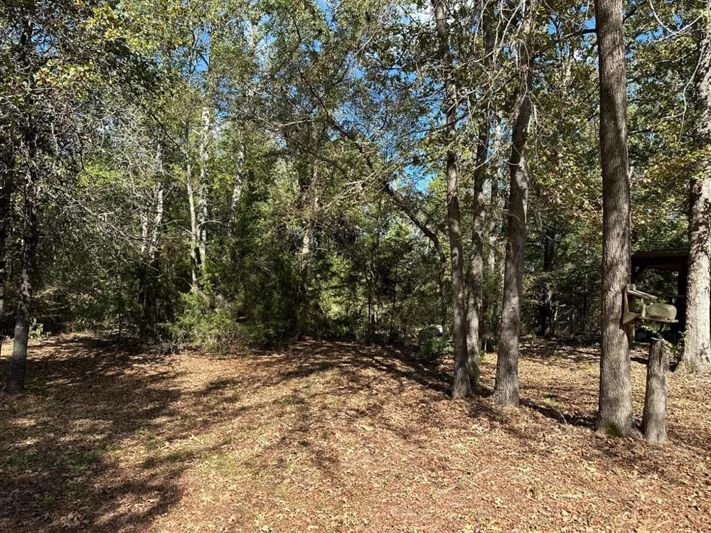 11420 County Road 420 Tyler, TX 75704